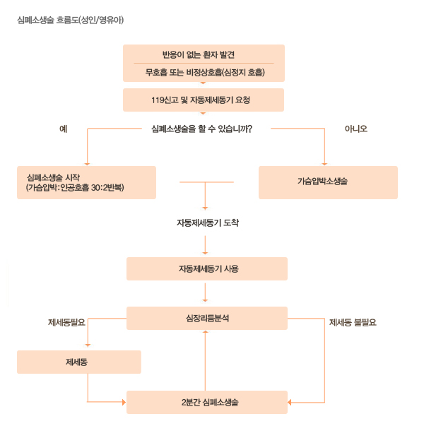 심폐소생술(성인/영유아)